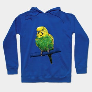 Budgie baby Hoodie